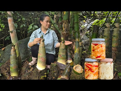 Harvesting Giant Bamboo Shoots - Processing & Making Chili Bamboo Shoots - Long Term Preservation