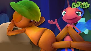 Antiks | Best Episodes | Sleeping on the Job | Cartoons for Kids