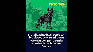 Brutalidad policial: estos son los videos que acreditaron torturas con perros en Estación Central