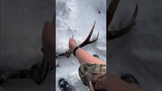 Giant 6x6‼️ ⚠️dead⚠️ under the ice✅ #shorts #fyp #shedhunting