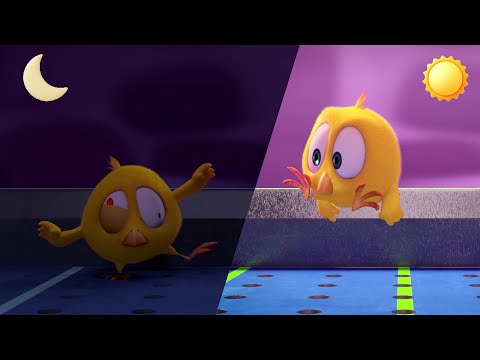 Dia e Noite 🌞 Onde está Chicky? 🌜 Pintinha amarelinho | Coleção desenhos animados Infantil | HD