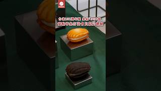 限定甜點市集！台北101週年慶 集結「500甜」10大名店 打造會員專屬體驗｜網路溫度計