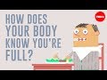 Understanding Hunger and Fullness