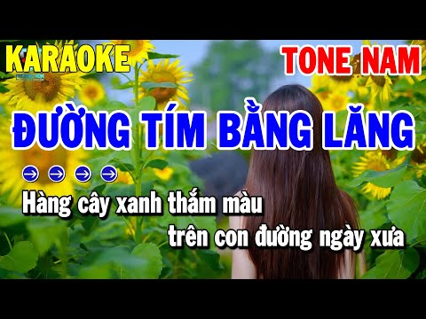 Karaoke Đường Tím Bằng Lăng Tone Nam | Nhạc Sống Dễ Hát | Karaoke Thanh Hải