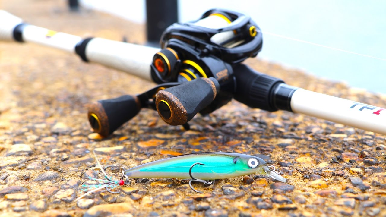 Fishing A River And Catching GIANT Baitfish?