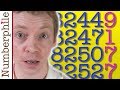 Patterns and Biases in Prime Numbers