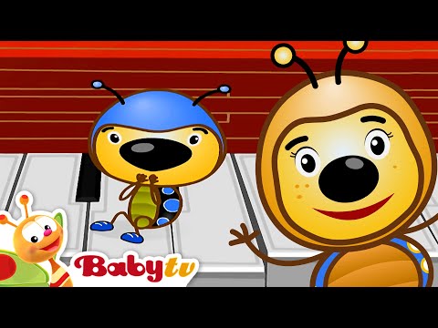 Som surpresa! Um macaco a tocar pratos | Esconde-esconde @BabyTVPT