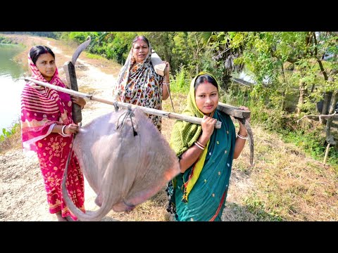 এই প্রথমবার 10kg ওজনের শঙ্করমাছ কেটে ঝাল ঝাল করে রান্না করলাম সাথে লাউপাতা বাটা রেসিপি || fish curry