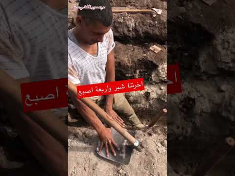 اخرتنا شبر واربعة اصبع