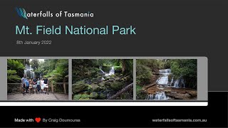 Mt Field National Park - and the 3 Waterfalls