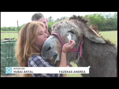 A Játékautók alkotói az RTL Klubbon