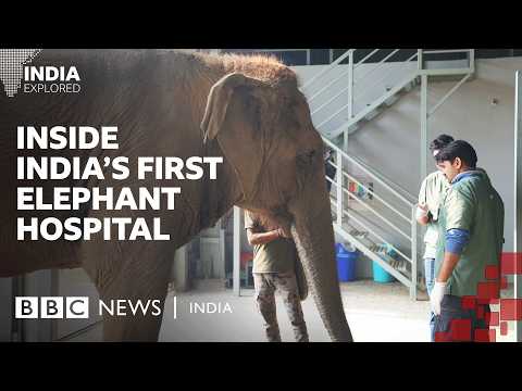 YouTube video thumbnail: Meet the Patients of India's First Elephant Hospital 