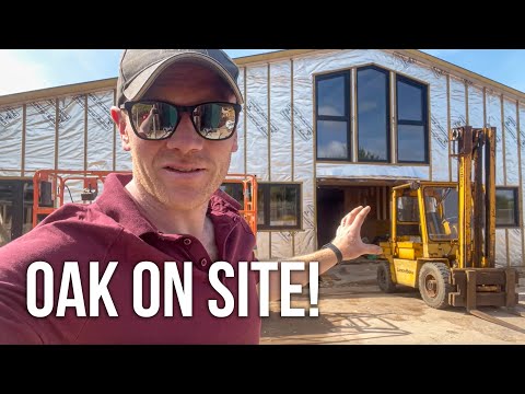 I THINK WE BUILT A SQUASH COURT! - Oak arrival, more walls and Stone Glue