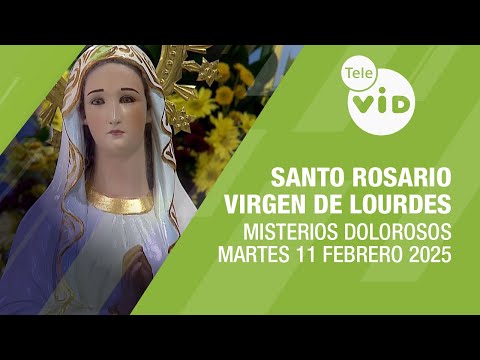 Santo Rosario a la Virgen de Lourdes Martes 11 Febrero de 2025 📿 Misterios Dolorosos #TeleVID