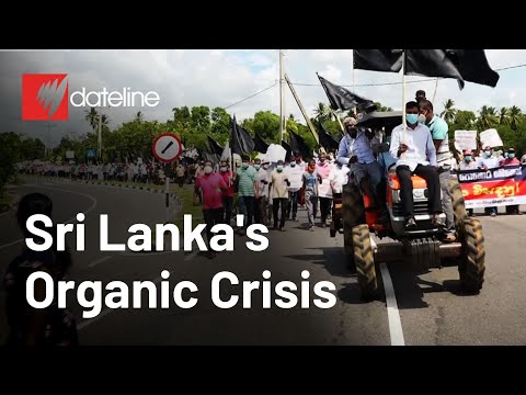 YouTube video thumbnail: How did Sri Lanka's Organic Dream Turn Into Chaos?