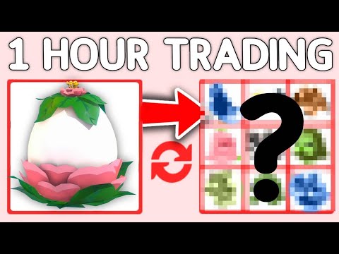 1 HOUR of ADOPT ME TRADING! EGGS ONLY! Adopt Me Roblox!