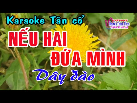 Karaoke tân cổ NẾU HAI ĐỨA MÌNH – DÂY ĐÀO