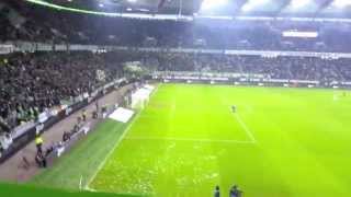 VfL Wolfsburg - Borussia Mönchengladbach 2014/15