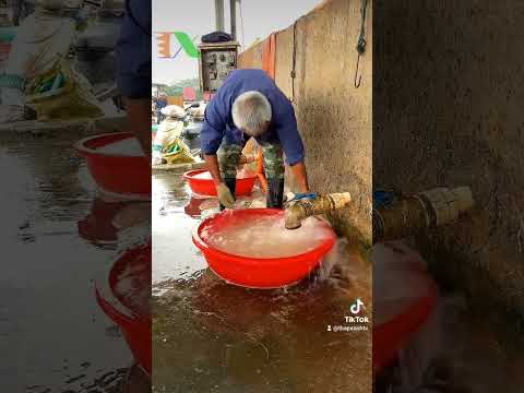 🦪 Túi Lưới Nuôi Hàu 8 Tầng TLH-8T, Ngọc Trai luôn rất đẹp khi làm trang sức cho phái đẹp