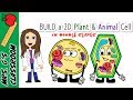 Understanding Plant and Animal Cells