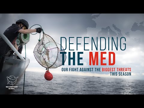 Defending the Med: Our Fight Against the Biggest Threats This Season