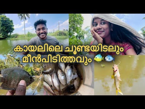 കായലിലെ മീൻ പിടുത്തം🎣🐠 l ARCHANADEV #viral #trending #archanadev #art #dayinmylife