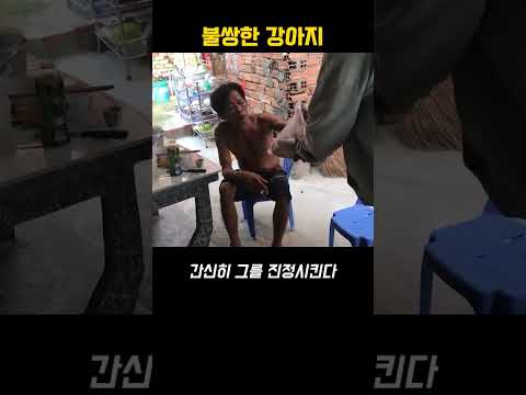 강아지가 구조된 이유