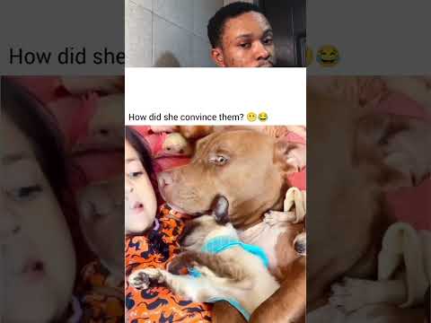 How did she convince the whole community 🤣😂🤣