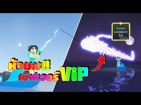 ผมตามจับปลาไหล ออโรร่า !! แต่ห้ามใช้เซิฟเวอร์ส่วนตัว : Roblox Fisch