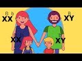 Understanding X-linked Inheritance