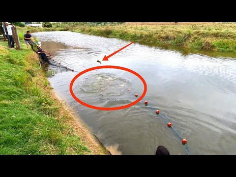 REPRESA COM MAIS DE 20 ANOS SEM TIRAR OS PEIXES VEJA O RESULTADO SÓ GIGANTES