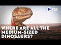 Dinosaur Growth and Fossil Record Insights