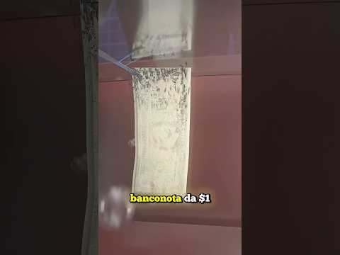 COSÌ SI AUMENTA IL VALORE DI UNA BANCONOTA IN AMERICA (credits: ​⁠@zackdfilms)