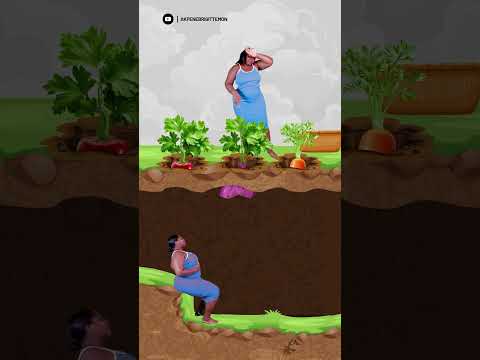 Why Did My Carrot Disappear Right Before Harvest?