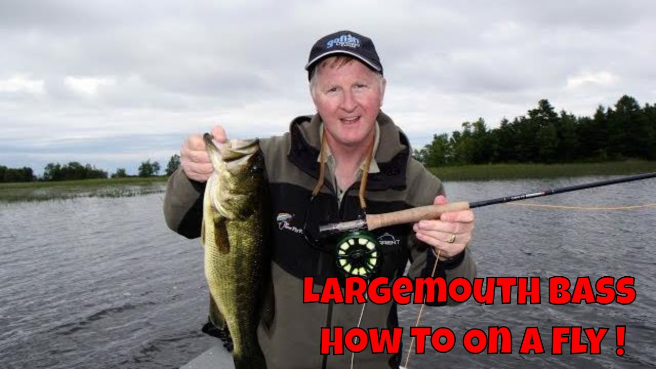 How to Catch BIG Largemouth Bass On Top with Flies! - The New Fly Fisher