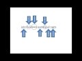 Content and Function Words in English