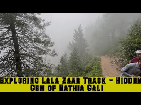 Exploring Lala Zaar Track - Hidden Gem of Nathia Gali