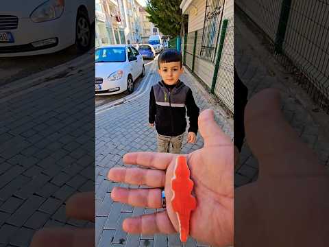 انا لا اخشى التماسيح ?? #मगरमच्छ