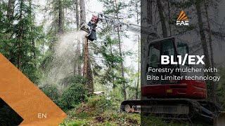 Vidéo - BL1/EX - BL1/EX/VT - FAE BL1/EX - Les broyeur forestier pour pelles