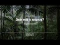 Cegueira Botânica e Relação com a Natureza