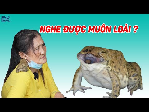 Đi xác minh chuyện người phụ nữ hiểu được âm thanh, tiếng kêu của nhiều loài vật - ĐỘC LẠ BÌNH DƯƠNG
