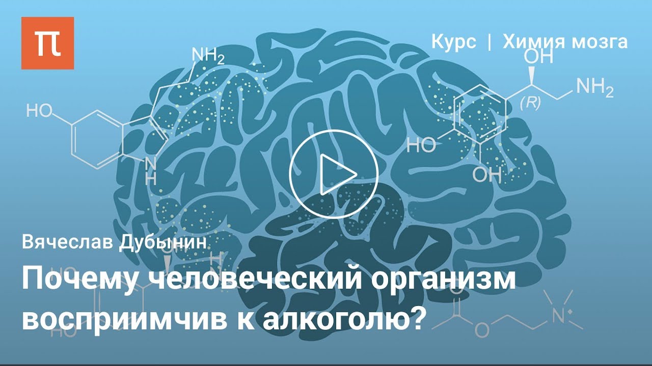 Мозг и алкоголь - курс Вячеслава Дубынина