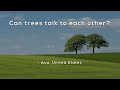 Understanding Tree Communication