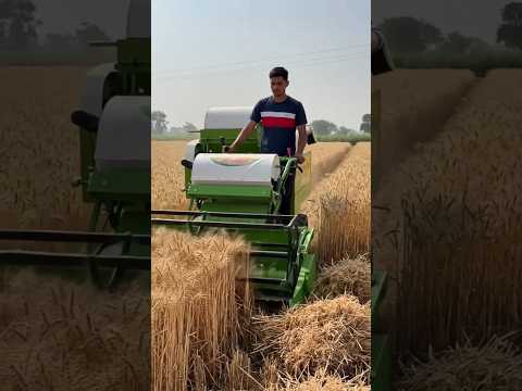गेहूं की कटाई का आधुनिक तरीका🚜 किसान की मेहनत को सलाम #shorts #shortsfeed #youtubeshorts #viralvideo
