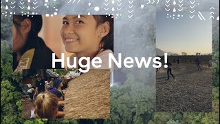 Huge News! We're now climate positive.