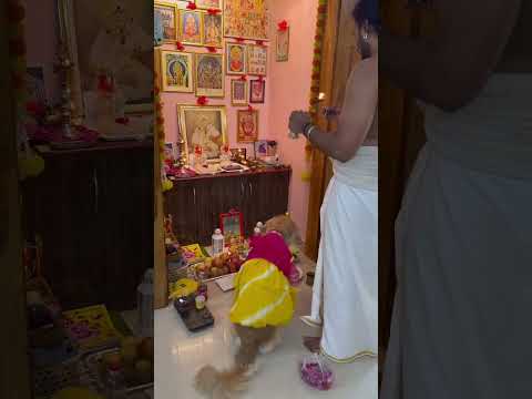 Morning Rituals in Indian Homes ♥️ #dogshorts #goldenretriever #traditional #morningroutine#cute