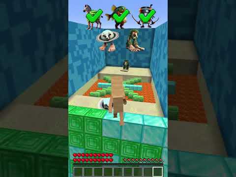 Italian Brainrot Mobs vs Different Traps #minecraft #brainrot #italianbrainrot
