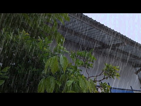 Rain sounds for sleeping 🌧️ Goodbye Insomnia - sleep fast in minutes - Relaxing rain sounds - ASMR