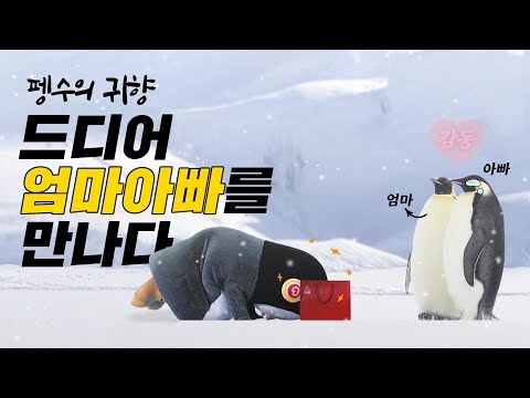 남극행 티켓을 향한 펭수의 무한도전~(feat.힘을줘요 정관장)