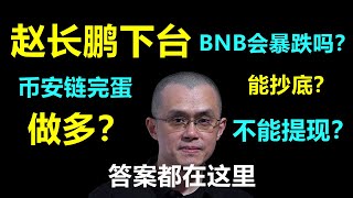 赵长鹏认罪，罚款43亿美金，BNB崩盘！BSC链完蛋了？不一定！BNB诊断分析。【面具人政经2023.11.23】